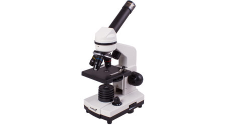 купите Школьный цифровой микроскоп Levenhuk Rainbow D2L 0,3 Мпикс, Moonstone\Лунный камень в Москве