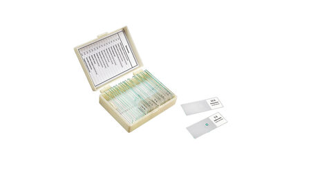 купите Микропрепараты для школы Ботаника Микромед (16 обр.) в Москве