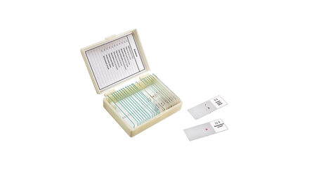 купите Микропрепараты для школы Зоология Микромед (11 обр.) в Москве