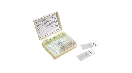 купите Микропрепараты для школы Анатомия и Физиология Микромед (16 обр.) в Москве