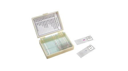 купите Микропрепараты Анатомия и Физиология Микромед, (14 обр.) в Москве