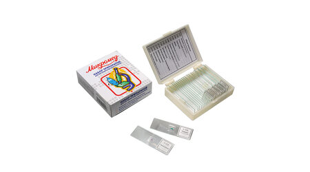 купите Микропрепараты Общая Биология Микромед (13 обр.) в Москве