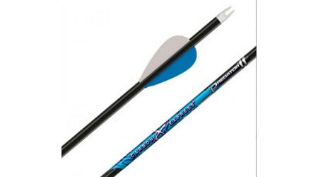 купите Стрела для лука Carbon Express Maxima Blue Streak 350 Blazer Vanes (6 штук) в Москве